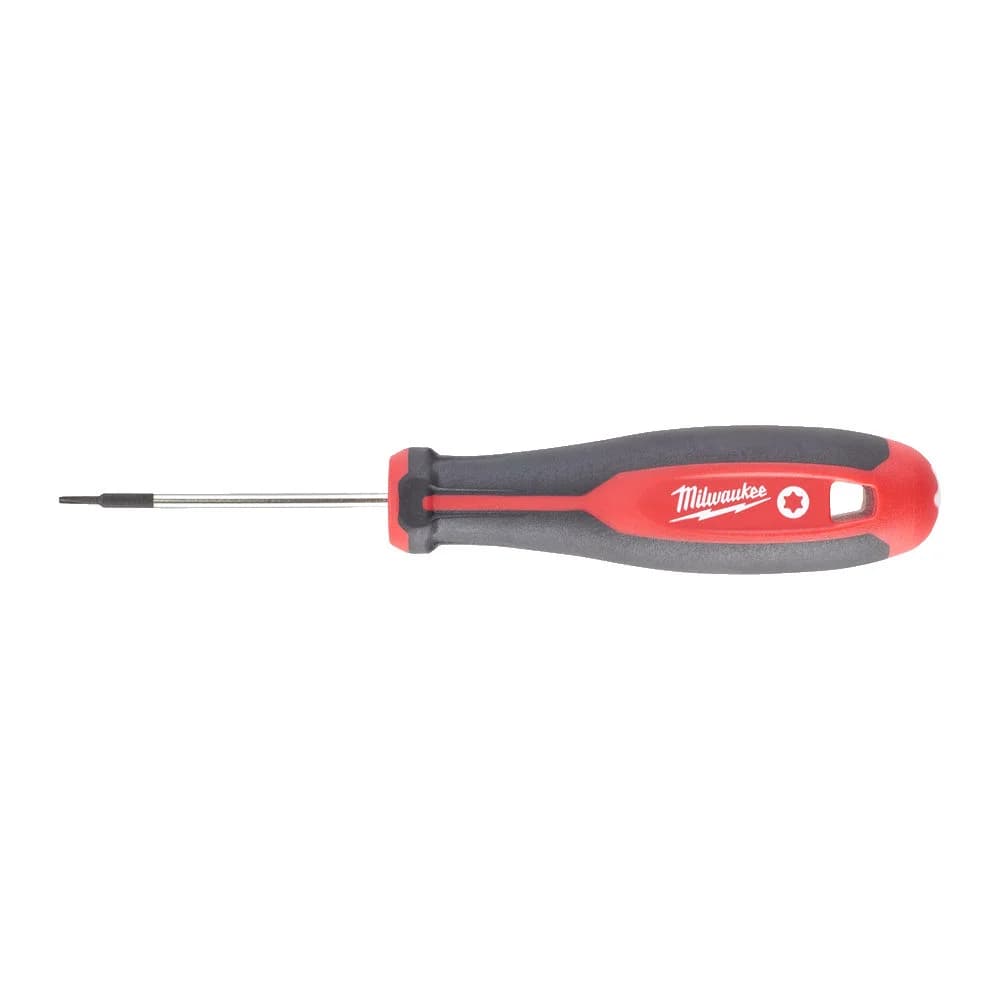 ΚΑΤΣΑΒΙΔΙ TORX T6X65 4932471795