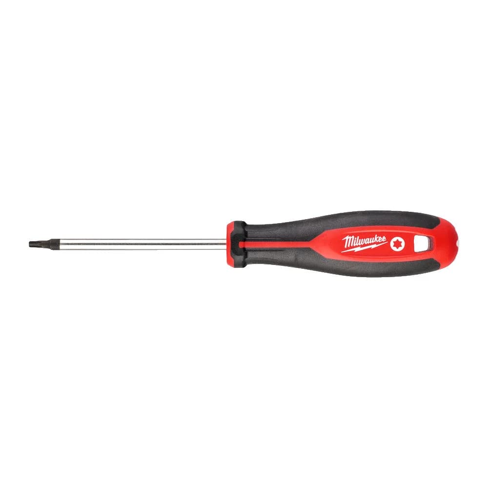 ΚΑΤΣΑΒΙΔΙ TORX T20X100 4932471801
