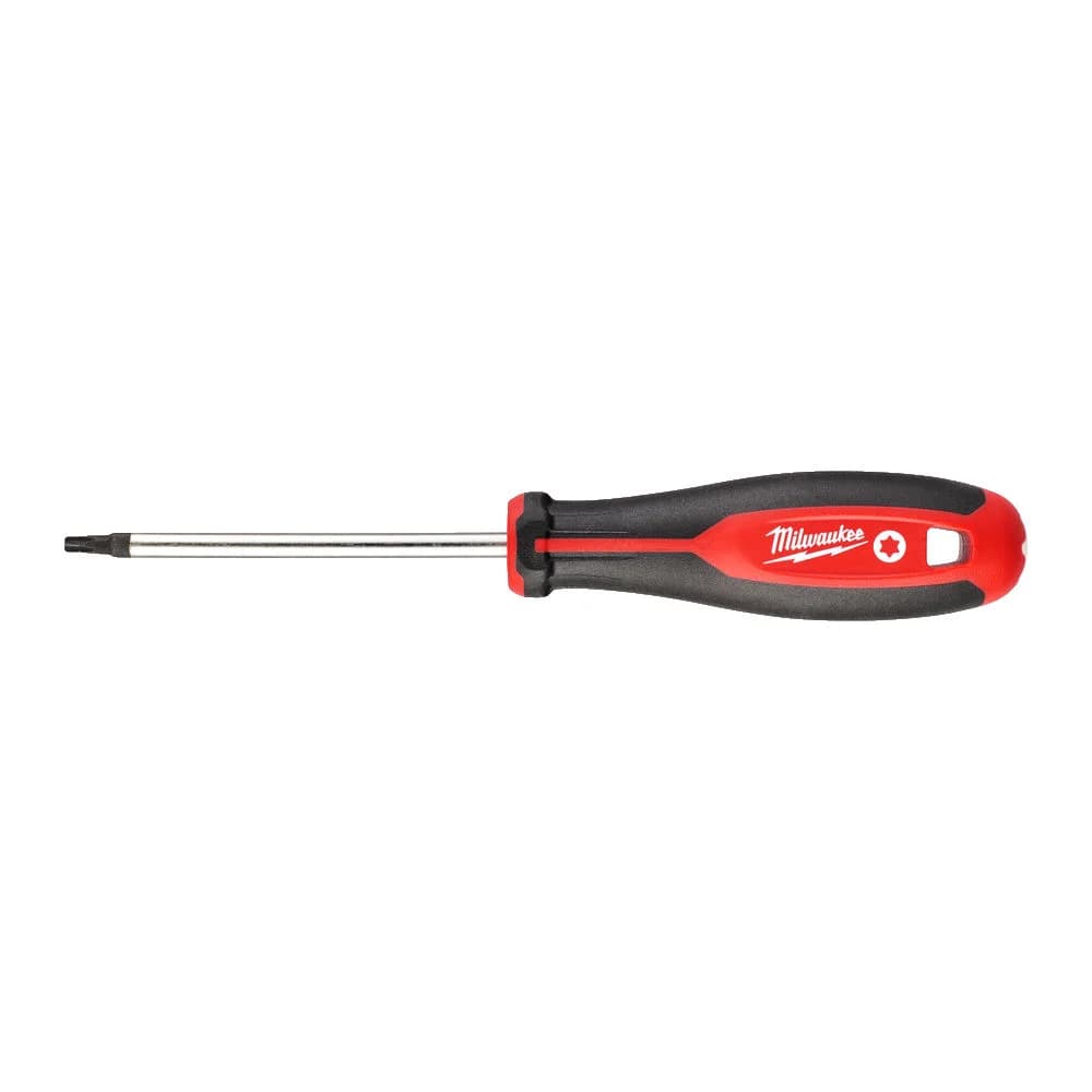 ΚΑΤΣΑΒΙΔΙ TORX T25X100 4932471802