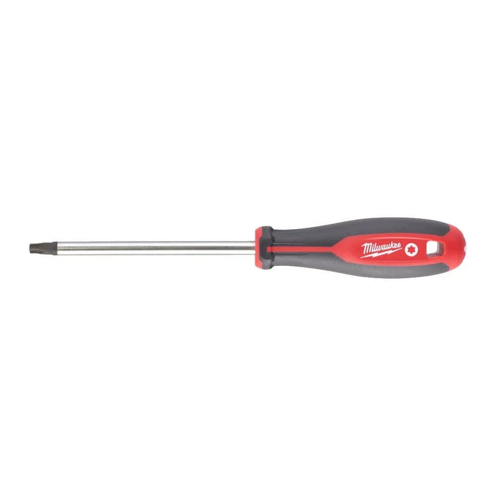 ΚΑΤΣΑΒΙΔΙ TORX T40X125 4932471804